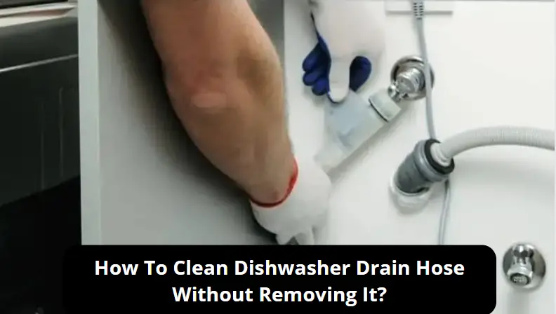 How To Clean Dishwasher Drain Hose Without Removing It? Best guide 2024