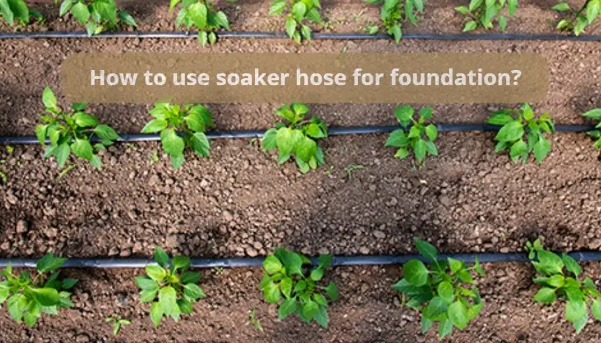 how to use soaker hoses for foundation